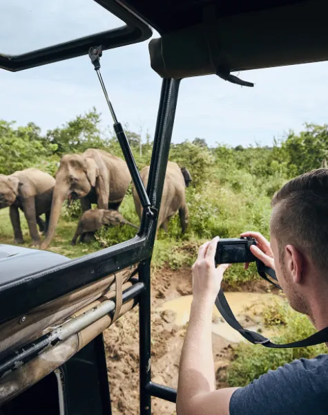 Wildlife Photography