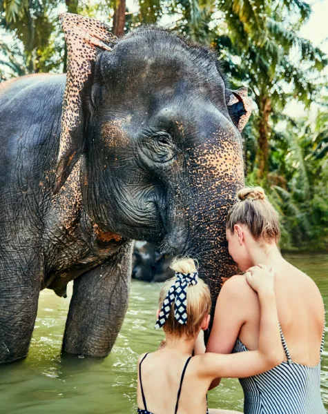 Yala national park