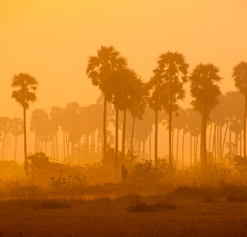 Jaffna Sri Lanka